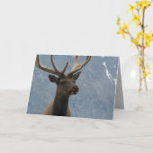 Hmmm, anscheinend hast du einen Geburtstag. Karte (Gelbe Blume)