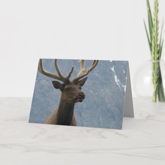 Hmmm, anscheinend hast du einen Geburtstag. Karte (Vorderseite)