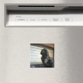 Hmmmm.... Magnet (In Situ (Geschirrspüler))