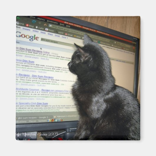 Hmmmm.... Magnet (Vorne)