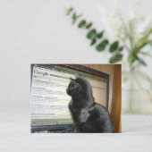 Hmmmm.... Postkarte (Stehend Vorderseite)