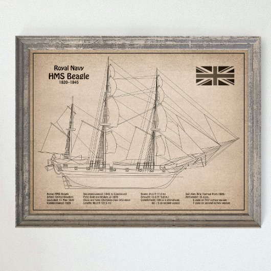 HMS Beagle Tall Ship Blueprint SD Poster
