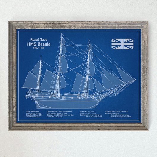 HMS Beagle Tall Ship - Schiffskopfdruck ABD Poster