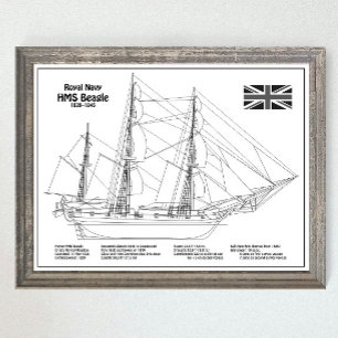 HMS Beagle Tall Ship - Schiffskopfdruck BD Poster