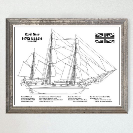 HMS Beagle Tall Ship - Schiffskopfdruck BD Poster