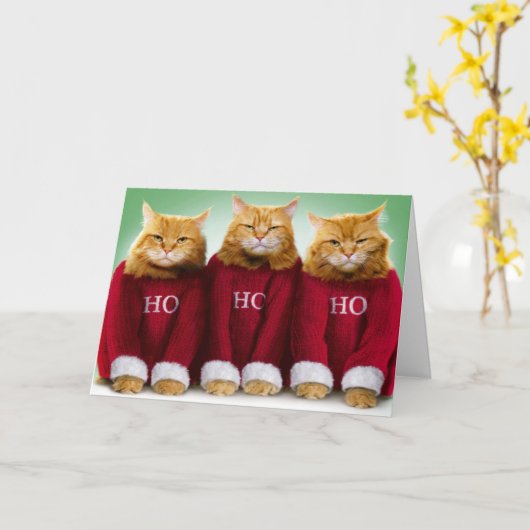 Ho Ho Drei Katzen Frohe Weihnachtsgrüße Karte (Gelbe Blume)