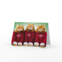 Ho Ho Drei Katzen Frohe Weihnachtsgrüße Karte