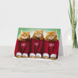 Ho Ho Drei Katzen Frohe Weihnachtsgrüße Karte