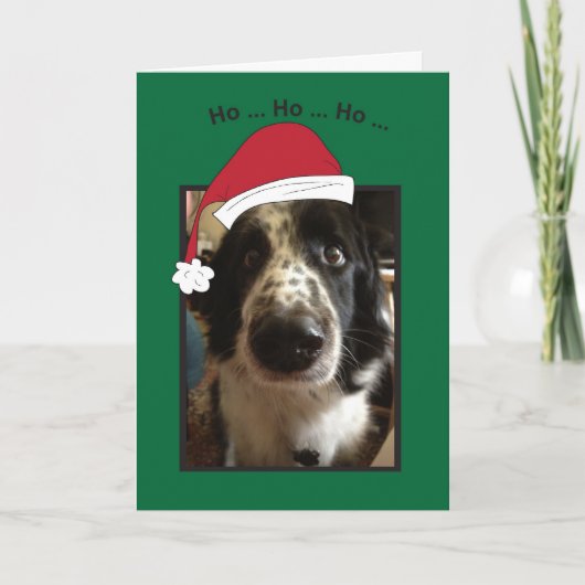 Ho Ho Ho Christmas Feiertagskarte (Vorderseite)
