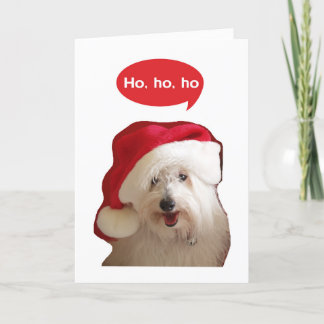 Ho Ho Ho Coton Dog Weihnachtskarte Feiertagskarte