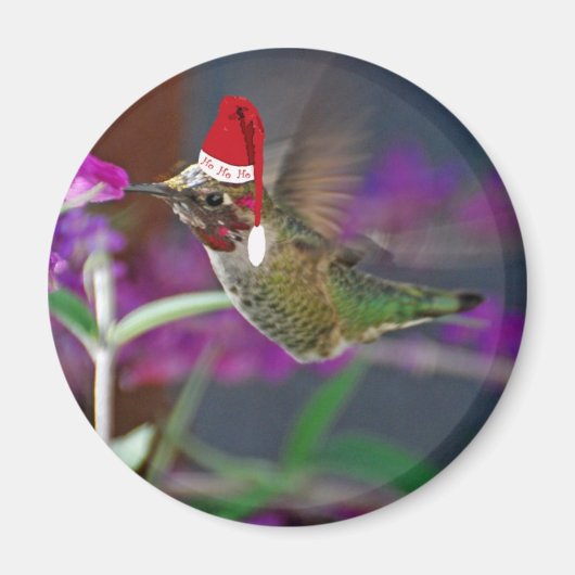 Ho Ho Ho Hummingbird Magnet (Vorne)
