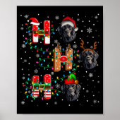 Ho Ho Weihnachtsmannmütze Elf Matching Labrador Re Poster (Vorne)