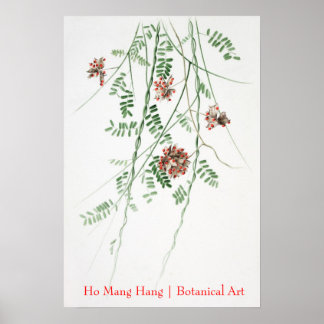 Ho Mang Hang Botanisches Kunstposter 1 Poster