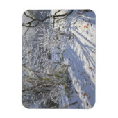 Hoar frost Markeaton Derby.UK.2012 Magnet (Vertikal)