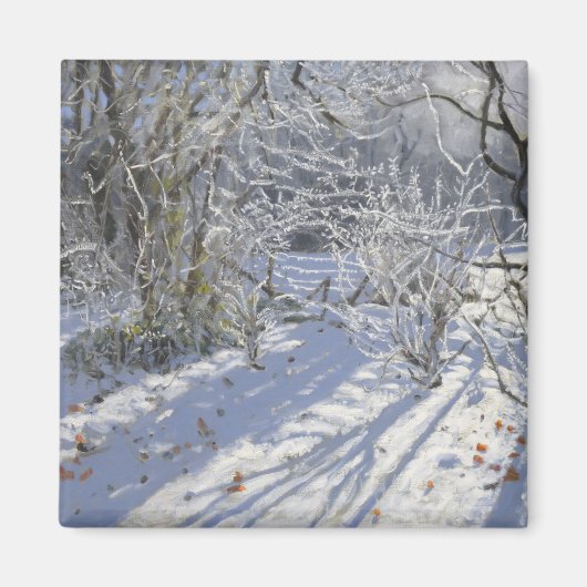 Hoar frost Markeaton Derby.UK.2012 Magnet (Vorne)