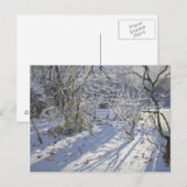 Hoar frost Markeaton Derby.UK.2012 Postkarte (Vorne/Hinten)