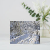 Hoar frost Markeaton Derby.UK.2012 Postkarte (Stehend Vorderseite)
