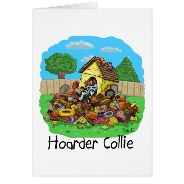 Hoarder Collie (Vorne)
