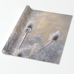 Hoarfrost Teasels Winter Foto Landschaftlich Natur Geschenkpapier