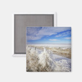 Hoarfrostmäntel, gekrustet und Fencelin in der Näh Magnet (Vorderseite/Rückseite)