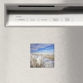 Hoarfrostmäntel, gekrustet und Fencelin in der Näh Magnet (In Situ (Geschirrspüler))