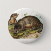 Hoary Marmot Camping Deko Geschenke Button (Vorderseite)