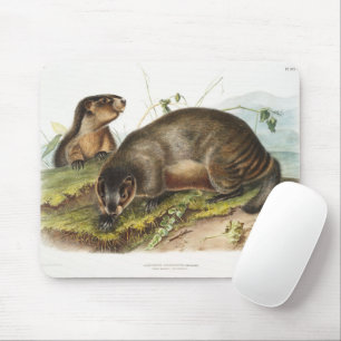 Hoary Marmot Camping Deko Geschenke Mousepad