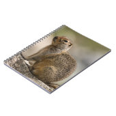 Hoary Marmot Notebook Notizblock (Linke Seite)