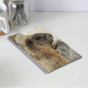 Hoary Marmot Wildlife Foto Notizblock