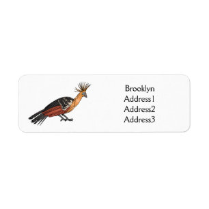 Hoatzin Cartoon