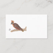 HOATZIN VISITENKARTE (Rückseite)