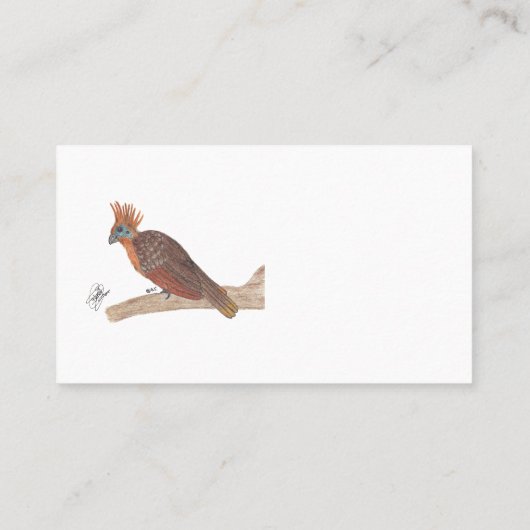 HOATZIN VISITENKARTE (Rückseite)