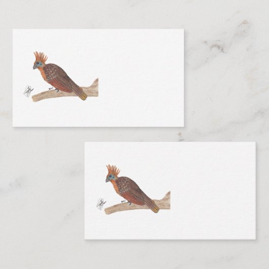 HOATZIN VISITENKARTE (Vorne/Hinten)