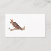 HOATZIN VISITENKARTE (Vorderseite)