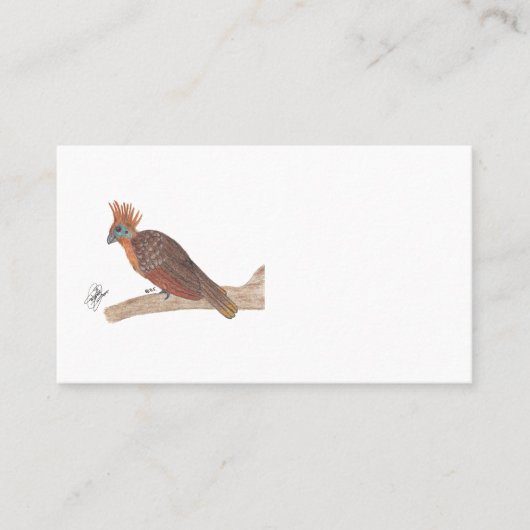 HOATZIN VISITENKARTE (Vorderseite)