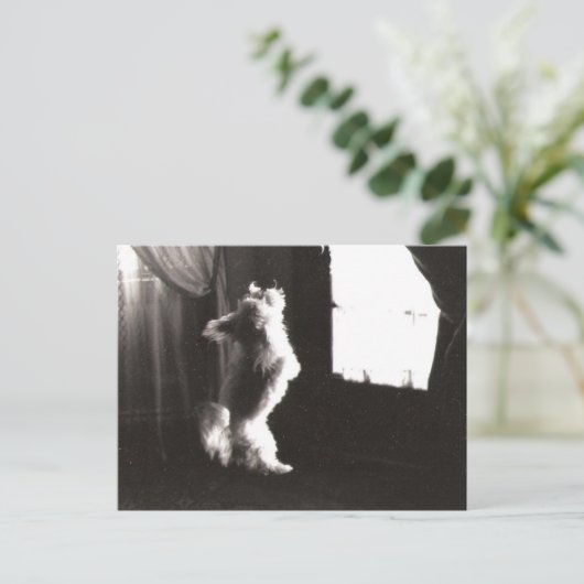 Hobbitt Postcard Postkarte (Stehend Vorderseite)