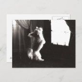 Hobbitt Postcard Postkarte (Vorne/Hinten)