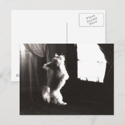 Hobbitt Postcard Postkarte (Vorne/Hinten)