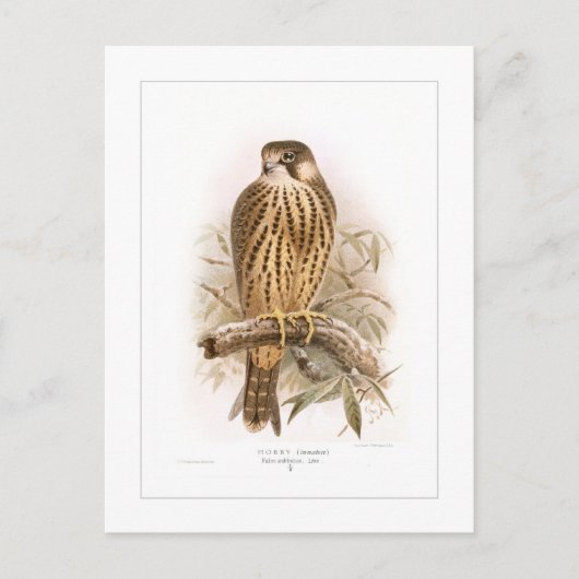 Hobby Postkarte (Vorderseite)