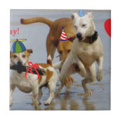 Hobbyhunde Fliese (Vorderseite)