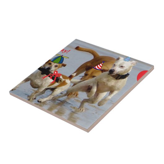 Hobbyhunde Fliese (Seite)