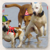 Hobbyhunde Getränkeuntersetzer (Vorderseite)