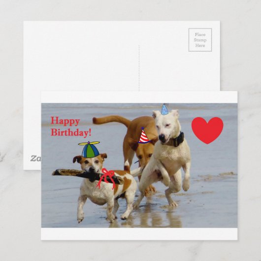 Hobbyhunde Postkarte (Vorne/Hinten)