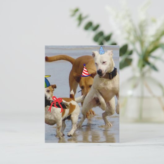 Hobbyhunde Postkarte (Stehend Vorderseite)