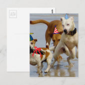 Hobbyhunde Postkarte (Vorne/Hinten)