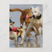 Hobbyhunde Postkarte (Vorderseite)