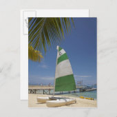 Hobie Cat, Plantation Island Resort Postkarte (Vorne/Hinten)