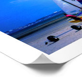 HOBIE CATS IN JERSEY POSTER (Ecke)