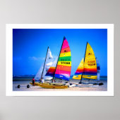 HOBIE CATS IN JERSEY POSTER (Vorne)