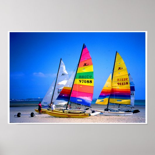 HOBIE CATS IN JERSEY POSTER (Vorne)